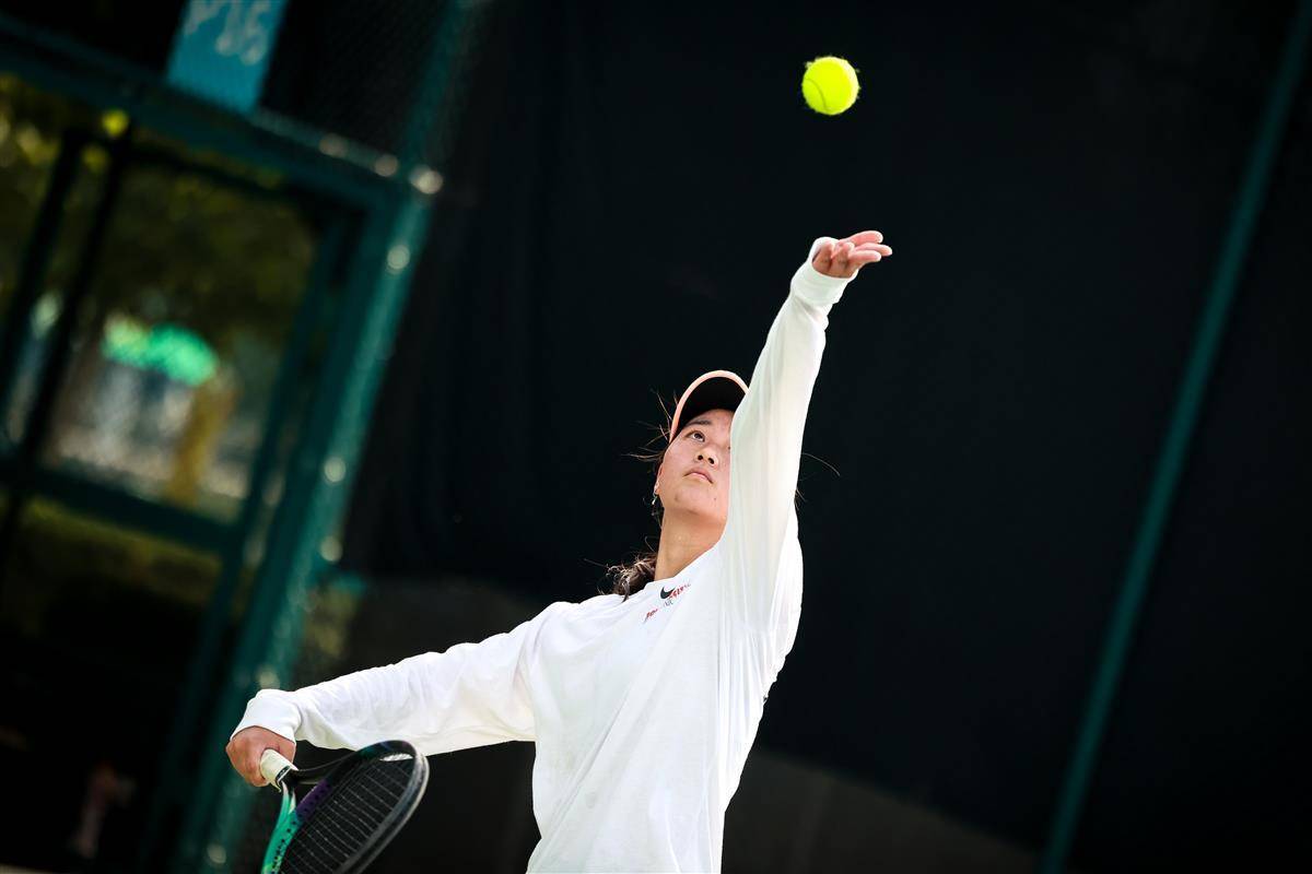 阵容变动策 阵容变动策