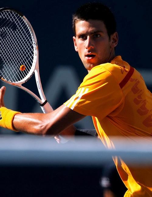 佩雷拉的加 佩雷拉的加