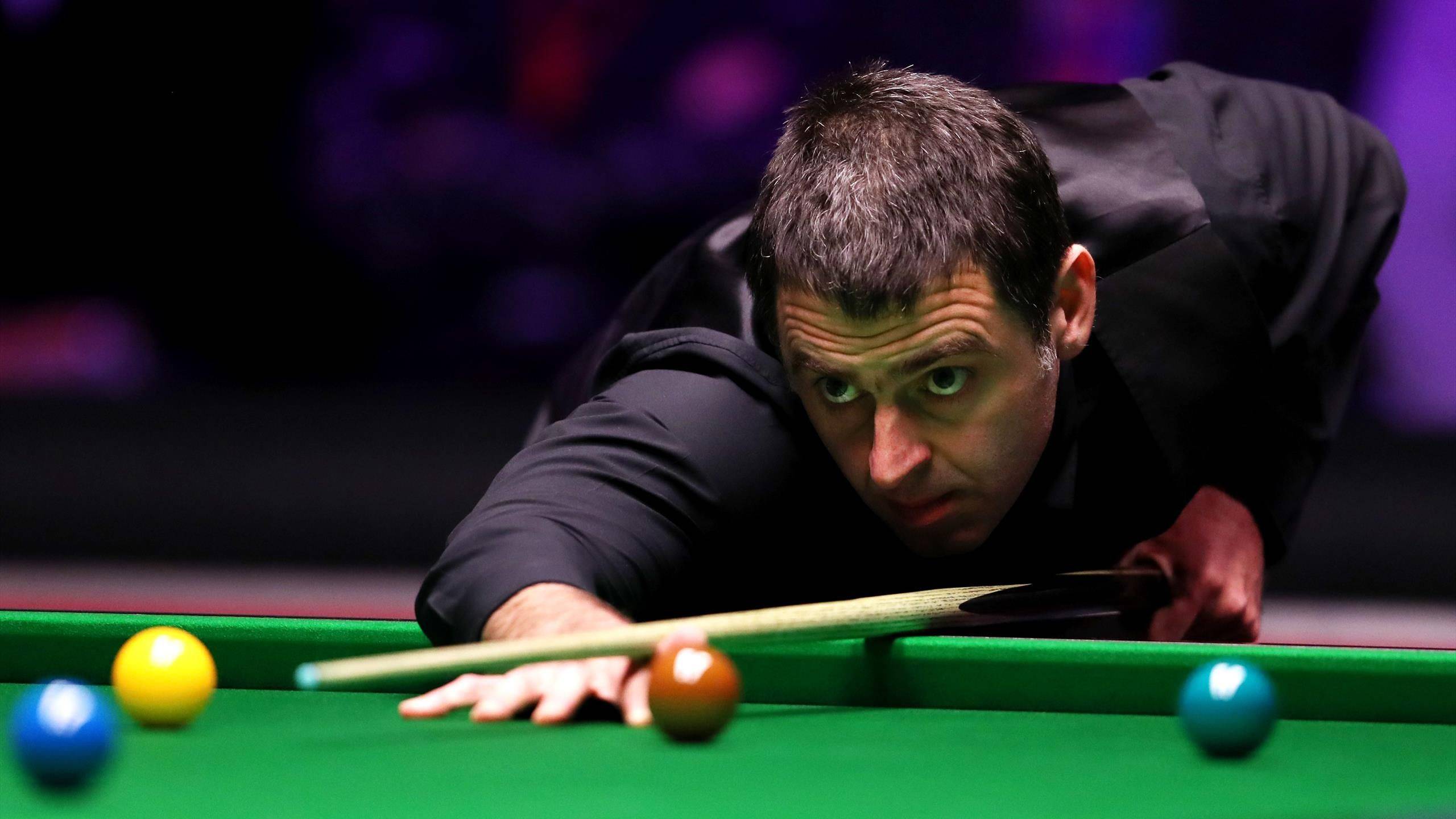 这是一份值 这是一份值