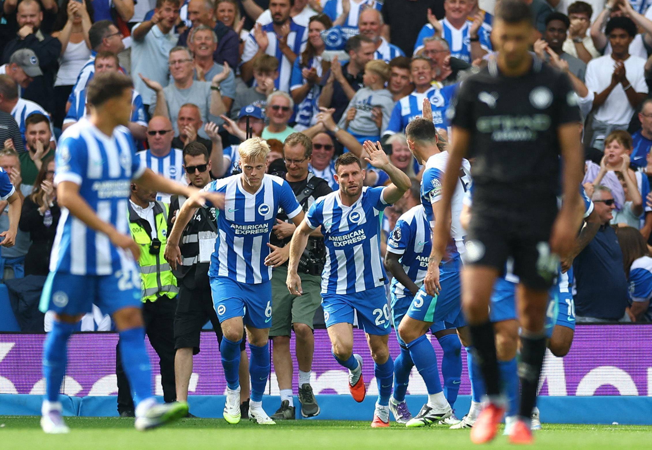 结果与分析 结果与分析